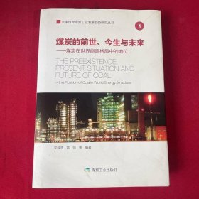 煤炭的前世、今生与未来