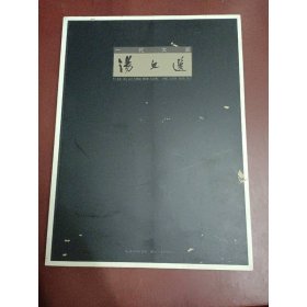 一代大家：汤文选