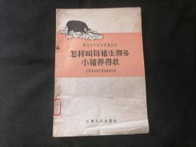 怎样叫母猪生得多小猪养得壮（副业生产技术实用丛书）（生猪生产大跃进）（1958年1版1印）