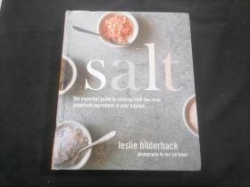 原版英文烹饪菜谱：（盐：用厨房中最重要的食材烹饪的基本指南）（Salt: The Essential Guide to Cooking with the Most Important Ingredient in Your Kitchen）（16开精装铜版彩印）