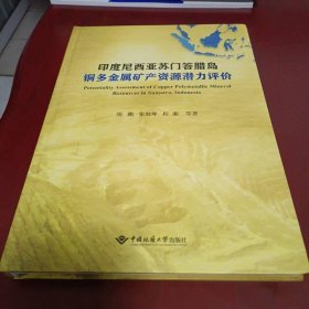 印度尼西亚苏门答腊岛铜多金属矿产资源潜力评价