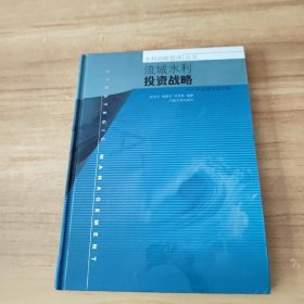 流域水利投资战略
