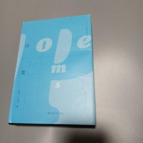 诗集 湖南文艺出版社