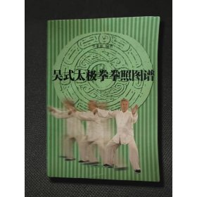吴式太极拳拳照图谱