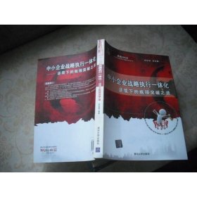 中小企業(yè)戰(zhàn)略執(zhí)行一體化：逆境下的瓶頸突破之道（決戰(zhàn)2020：北大縱橫管理咨詢集團）