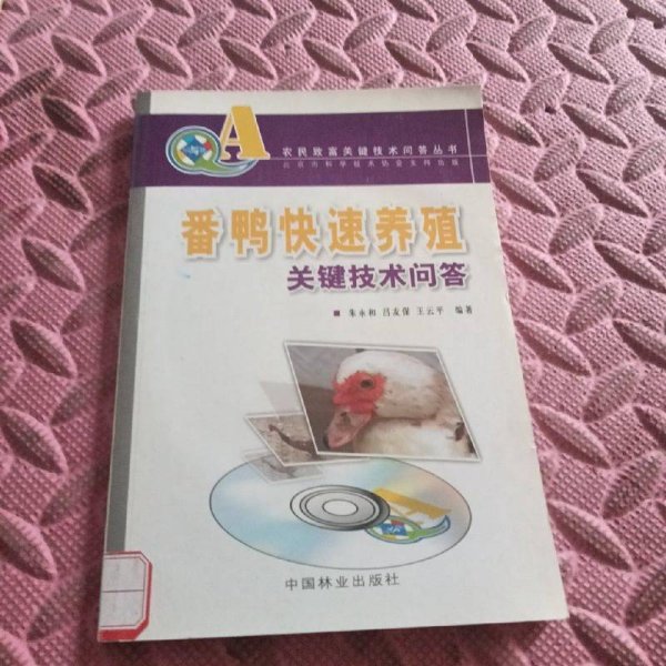 番鸭快速养殖关键技术问答