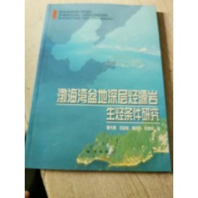 渤海湾盆地深层烃源岩生烃条件研究