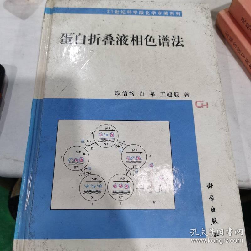 蛋白折叠液相色谱法——21世纪科学版化学专著系列