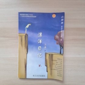 漂洋日记