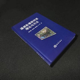 遥感影像群判读理论与方法