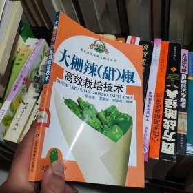大棚辣（甜）椒高效栽培技术