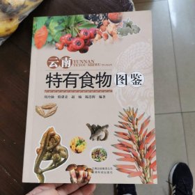 云南特有食物图鉴