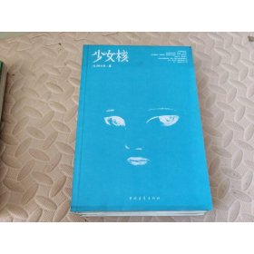 少女核 中国青年出版社