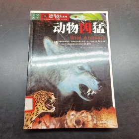动物凶猛