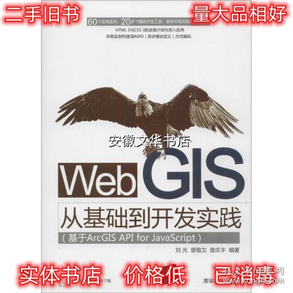 Web GIS从基础到开发实践：基于ArcGIS API for JavaScript