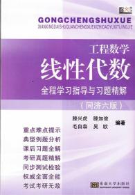 工程数学·线性代数：全程学习指导与习题精解（同济六版）