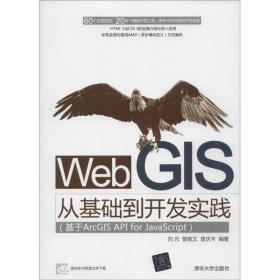 Web GIS从基础到开发实践 刘光,曾敬文,曾庆丰　编著 清华大学出