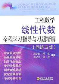 工程数学线性代数全程学习指导与习题精解（同济5版）