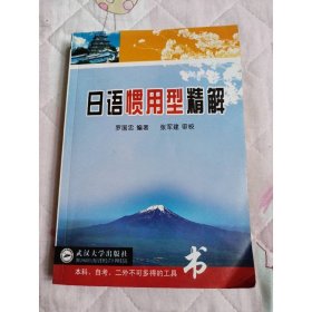 日語(yǔ)慣用型精解