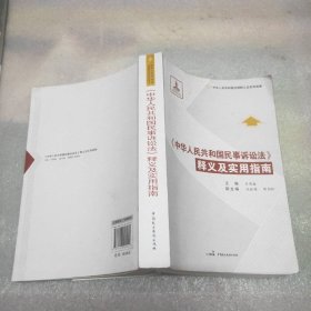 《中华人民共和国民事诉讼法》释义及实用指南
