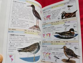 鸟——全世界800多种鸟的彩色图鉴（2003年出版，全彩图）