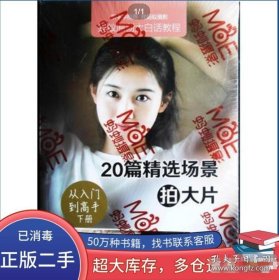 20篇精选场景拍大片从入门到高手（下册）