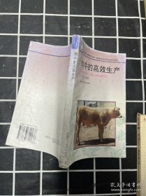 肉牛的高效生产