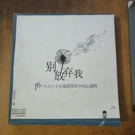 别放弃我 16个失足少年的流浪经历和内心迷惘