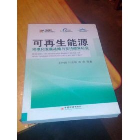 可再生能源：规模化发展战略与支持政策研究