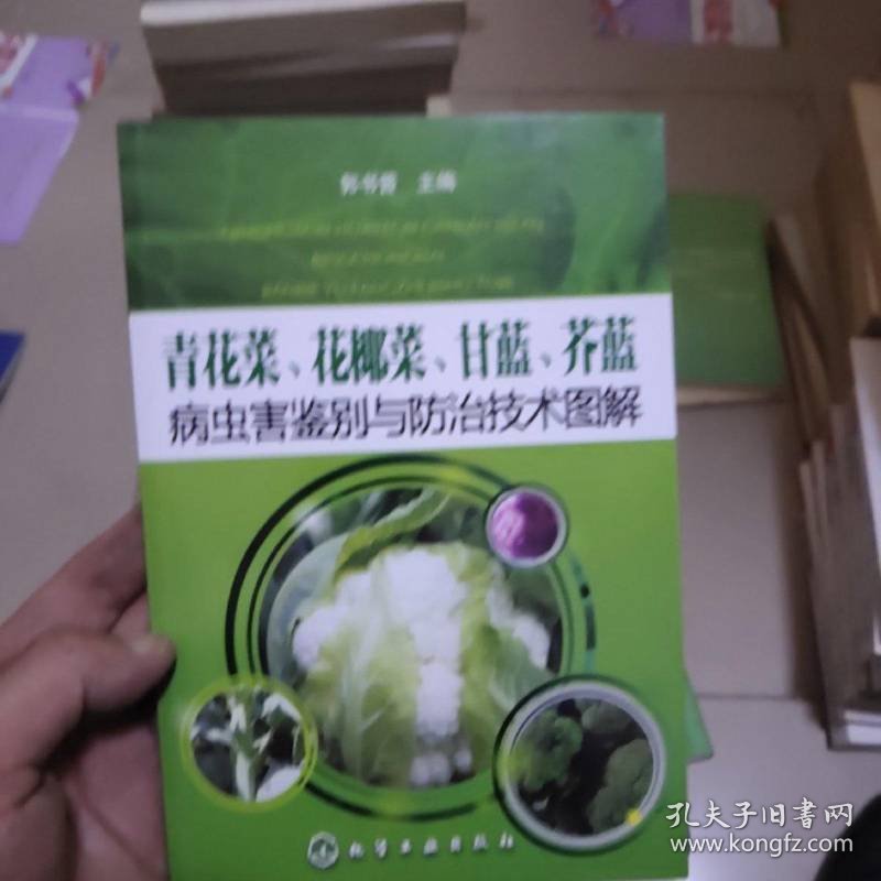 点击查看原图 青花菜、花椰菜、甘蓝、芥蓝病虫害鉴别与防治技术图解
