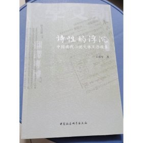 诗性的浮沉：中国现代小说文体互渗现象