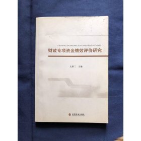 財政專項資金績效評價研究