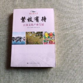 繁枝有待江南文化产业发展