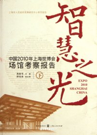 智慧之光:中国2010年上海世博会场馆考察报告(下）
