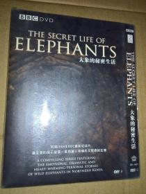 d9 BBC 大象的秘密生活 The Secret Life of Elephants DVD