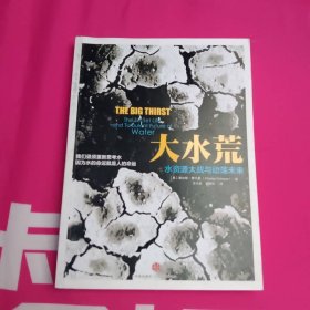 大水荒 中信出版社