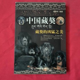 中国藏獒：藏獒的凶猛之美