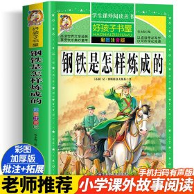 钢铁是怎样炼成的/新课标学生课外必读丛书