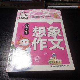 黄冈作文-小学生想象作文