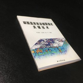 碳酸盐岩岩溶储层描述关键技术