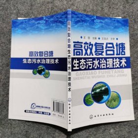 高效复合塘生态污水治理技术