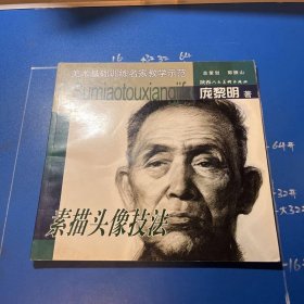 素描头像技法（美术基础训练名家教学示范）