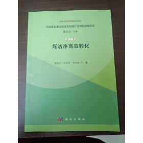 煤洁净高效转化