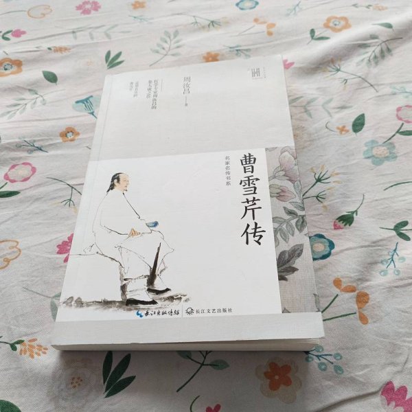 曹雪芹传