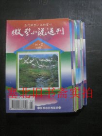 微型小说选刊1996年2-4、12-14、17-24期 14本合售 无翻阅