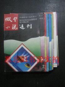 微型小说选刊1994年1-5、7-12期 11本全合售 无翻阅