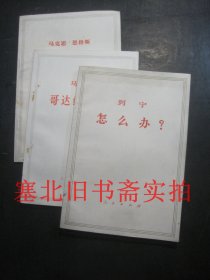 70年代印刷 马克思哥达纲领批判、列宁怎么办、马克思恩格斯共产党宣言 3本合售 无翻阅无字迹