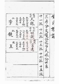 【提供资料信息服务】（货号5827）安氏族谱：[湖南汉寿]