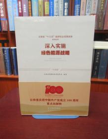 云南省“十三五”经济社会发展成就系列丛书：深入实施绿色能源战略  一版一印