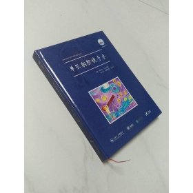 AME科研时间系列医学图书010 单孔胸腔镜手术